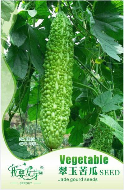 JMS Original Pack, 12 Seeds / Pack, Green Bitter Gourd Seed Bitter Melon Balsam Pear Organic Vegetab