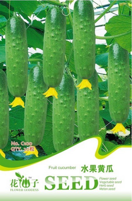 JMS 10 Original Packs, 20 Seeds / Pack, Fruit Cucumbers, Eat It Raw, Crisp & Delicious, Organic Vege