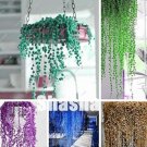 JMS 200Pcs Pearl Chlorophytum Bonsai Mixed Colors Seeds