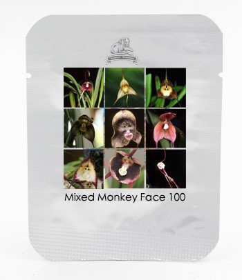 JMS 9 Types Perennial Dracula Simia Monkey Face Flower Seeds, 1 Professional Pack, 100 Seeds / Pack,