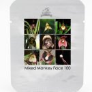 JMS 9 Types Perennial Dracula Simia Monkey Face Flower Seeds, 1 Professional Pack, 100 Seeds / Pack,