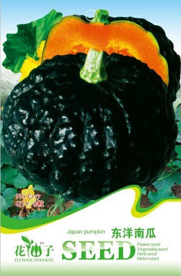 JMS 1 Original Pack, 8 Seeds / Pack, Rare Japanese Black Pumpkin, Organic Non-Gmo Heirloom Vegetable