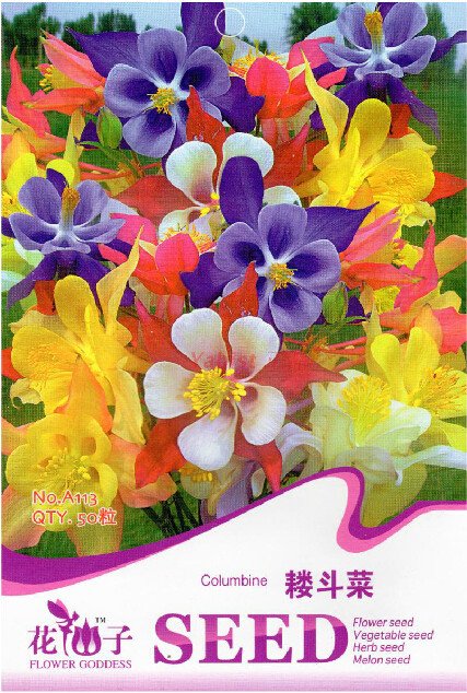 JMS 1 Original Pack, 50 Seeds / Pack, Mix Columbine Aquilegia Viridiflora Shade Perennial Flowers Se