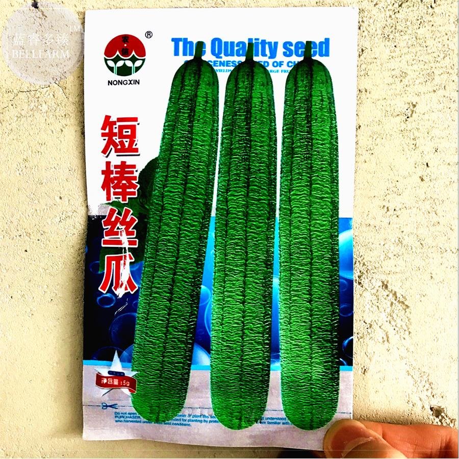 JMS  15+ Short Loofah Organic Seeds, Original Pack, Green Towel Gourd Luffa Bd038H