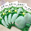 JMS  Wax Gourd Small Round White Gourd Vegetable Seeds, 5 Packs, 10 Seeds/Pack, Vigorous Prolific Fr