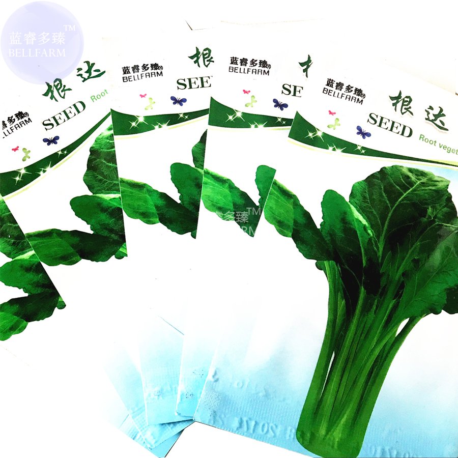 JMS  Beta Vulgaris Beets Green Chinese Vegetable Seeds, 5 Packs, 50 Seeds/Pack, Organic Sea Kale Bee