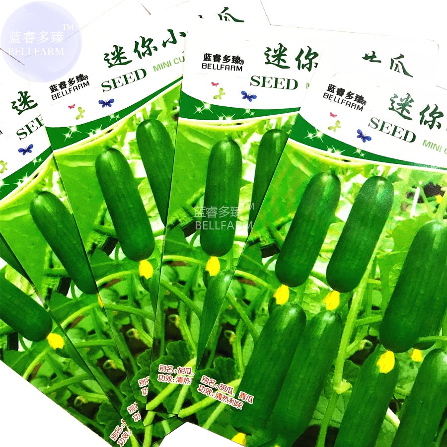 JMS  Mini Green Cucumber Vegetable Seeds, 5 Packs, 10 Seeds/Pack, Organic Tasty Crisp Indeterminate 