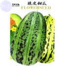 JMS  Colorful Ellipse Sweet Melon Seeds, 20 Seeds, Original Pack, Crisp Fragrant High-Yield Muskmelo
