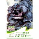 JMS  6 Types Of Lettuce Purple Red Green Vegetables Seeds, Original Package
