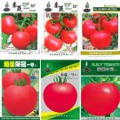 JMS  (For Greenhouse) High Yield Tomato Big Pink Red Hybrid Seeds, 10 Grams Or 5 Grams /Original Pac