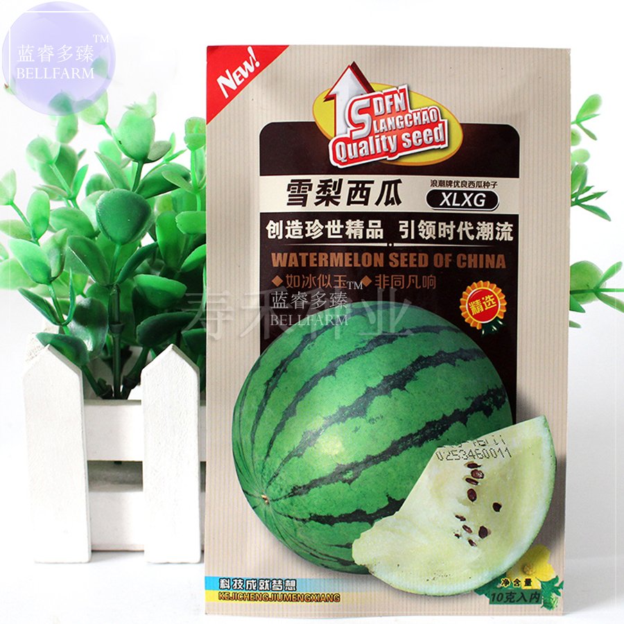 JMS White Watermelon Green Dark Green Skin White Inside Water Melon, 10Grams 'Seeds'/Original Pack, 