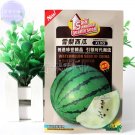 JMS White Watermelon Green Dark Green Skin White Inside Water Melon, 10Grams 'Seeds'/Original Pack, 