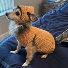 2 Piece Dog sweat suit