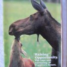Pepsi Co Inc 1993 Share Stock Holders Brochure Magazine Prospectus PepsiCo Pizza