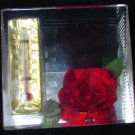 Lucite plastic thermometer red rose desk paperweight triangle Lucite plastic thermometer red rose desk paperweight triangle