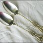 Lakewood Warren silverplate Oneida Simeon Rogers 1901 2 tablespoons