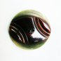 Tortoise shell insert in green celluloid button vinage 1 1/2" diameter