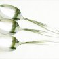 Oneida stainless Cabana 3 tablespoons serving spoons rogers 1881 flatware