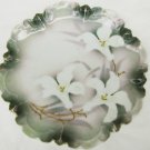 R&S Germany plate white iris gray green backgound scalloped edge 7 3/4"