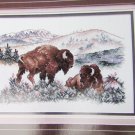 Stoney Creek Bufflao on plains cross stitch pattern Nov/Dec 1993