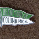 Charm Deep Forest Coloma Michigan flag sterling
