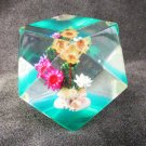 Lucite geometric cube paperweight dry flowers shells green tint paper weight