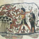 Egyptian papyrus King Tut Hunter scene Nefertari & birds 16 1/2 x 17 1/2 framed Egyptian papyrus King Tut Hunter scene Nefertari & birds 16 1/2 x 17 1/2 framed
