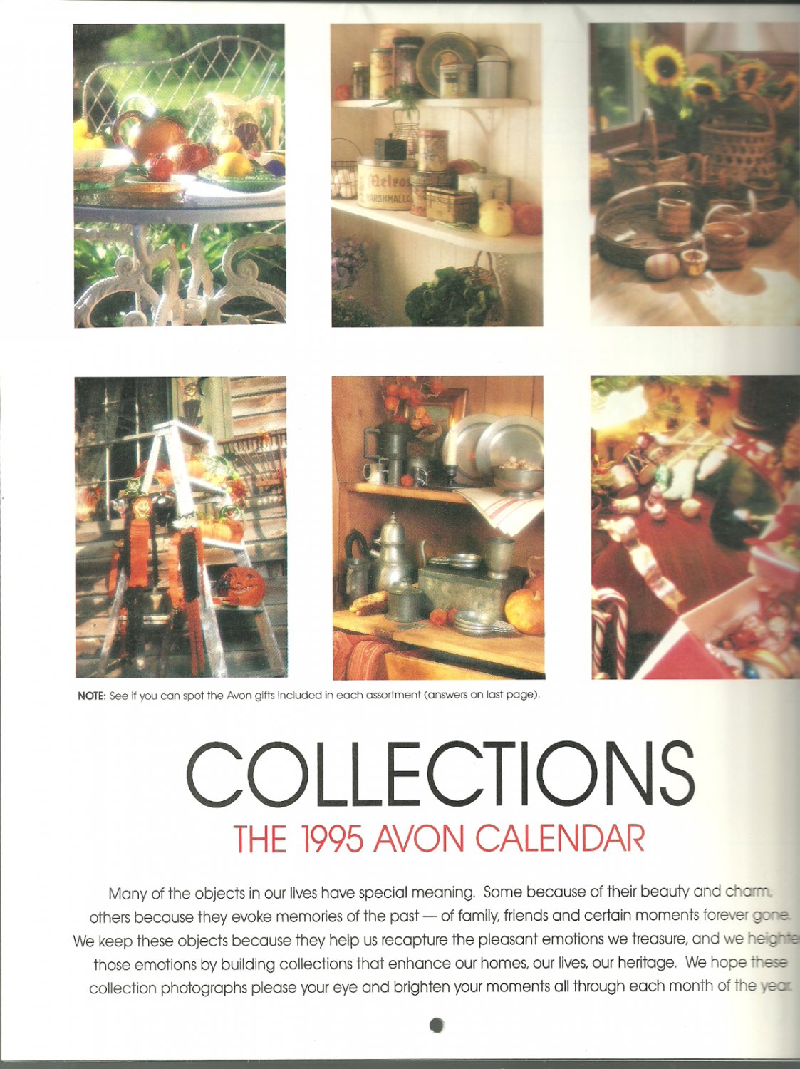 The 1995 Avon Calendar