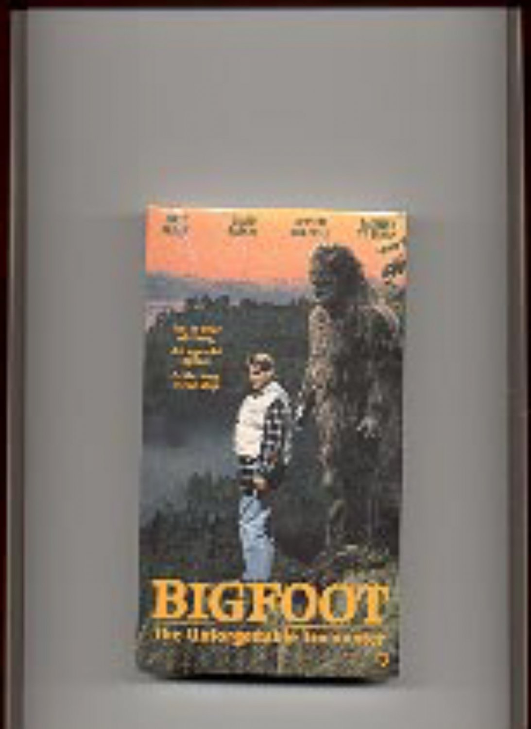 Bigfoot The Unforgettable Encounter Video