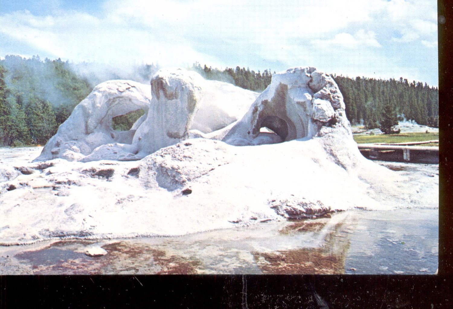 Grotto Geyser Yellowstone National Park    Postcard  (# 547)
