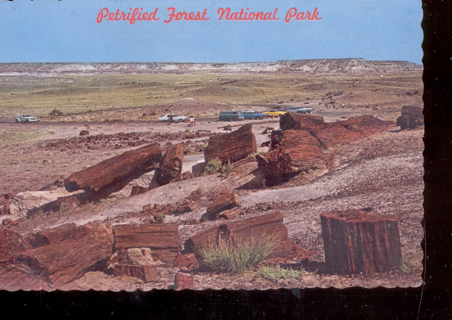 petrified forest natl pk single personals Pedal the petrified is a non-competitive cycling tour ride in the petrified forest national park presented by or make a single pedal the petrified 2018. petrified forest natl pk single personals Pedal the petrified is a non-competitive cycling tour ride in the petrified forest national park presented by or make a single pedal the petrified 2018.