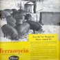 Nov. 1953 Terramycin antibiotic for animals magazine  ad (#5597)