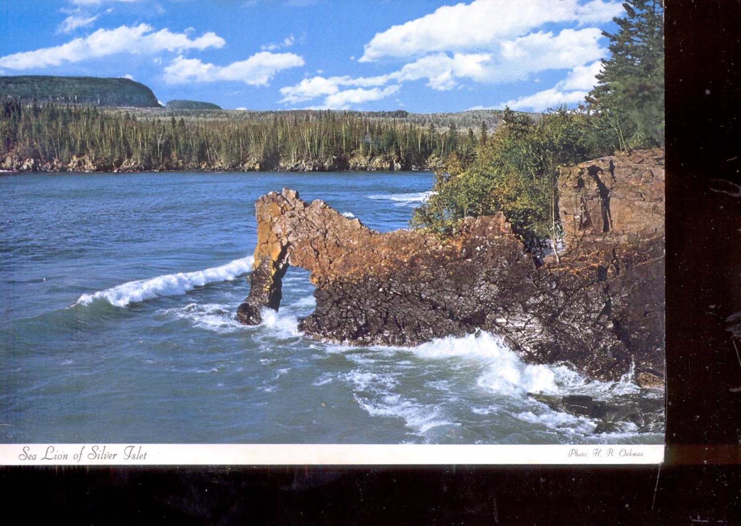 Sea Lion of Silver Islet  Postcard ( # 811)