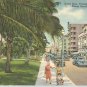 Hotel Row, Facing Lummus Park,  Miami Beach, Florida   Postcard (# 1193)