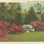 Scene in Bellingrath Gardens, Mobile, Ala.  Postcard (# 1195)