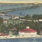 Sea Shell,  on the Gulf of Mexico,  Clearwater Beach, Florida Postcard (# 1197)