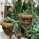 Hanging POT