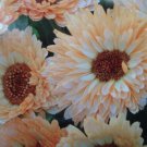 KIMIZA - 40+ CALENDULA PACIFIC BEAUTY CREAM FLOWER SEEDS RE-SEEDING LONG LASTING ANNUAL