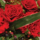 KIMIZA - 20+ RED LISIANTHUS FLOWER SEEDS / EUSTOMA / ANNUAL / GREAT CUT FLOWER / GIFT
