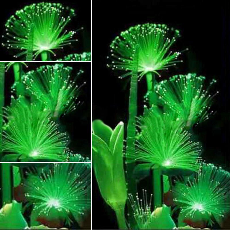 KIMIZA - 100Pcs Rare Emerald Fluorescent Flower Seeds, Night Light Emitting Plants New