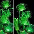 KIMIZA - 100Pcs Rare Emerald Fluorescent Flower Seeds, Night Light Emitting Plants New
