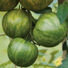 TOMATO Green Zebra 15 Seeds