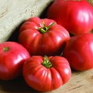 TOMATO 'German Johnson' 15 HEIRLOOM SEEDS