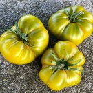 TOMATO Evergreen 15 Seeds