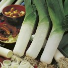 LEEK ELEPHANT 100 Seeds