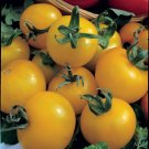TOMATO Cherry Golden Sunrise 15 Seeds