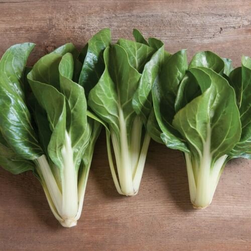 SILVERBEET Barese 50 Seeds