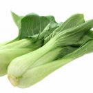 BOK CHOI Ching Chang 50 Seeds