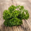 PARSLEY TRIPLE CURL 100 Seeds