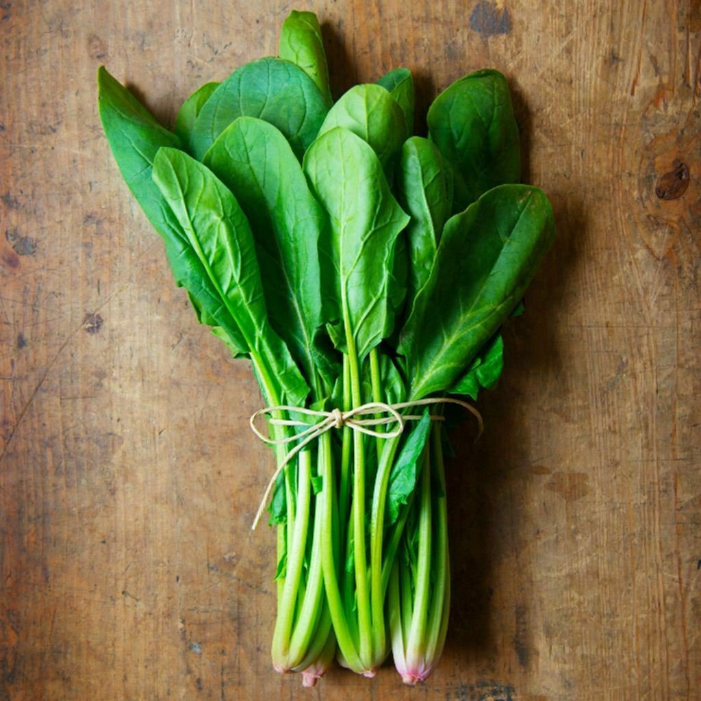 ENGLISH SPINACH 'WINTER GIANT' 50 Seeds